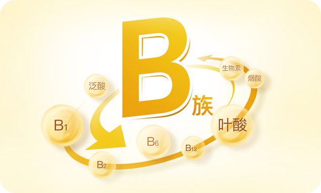 关于维生素B族