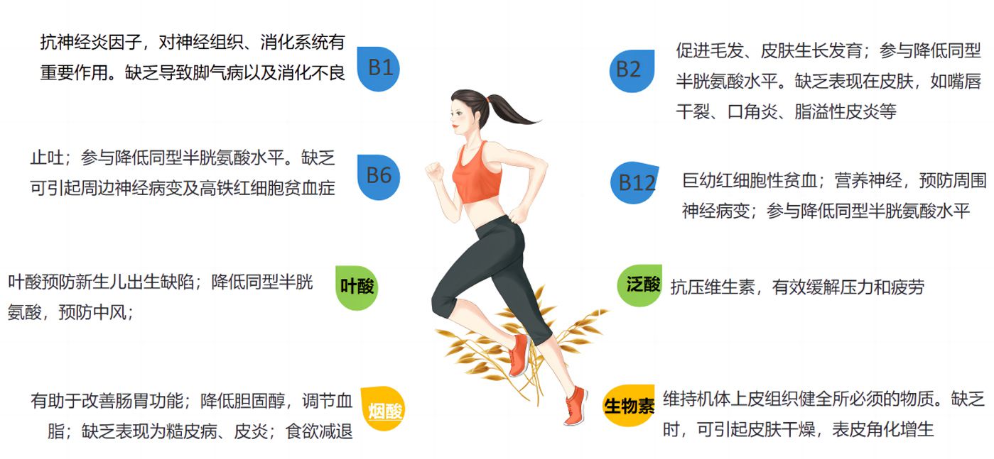 B族的作用